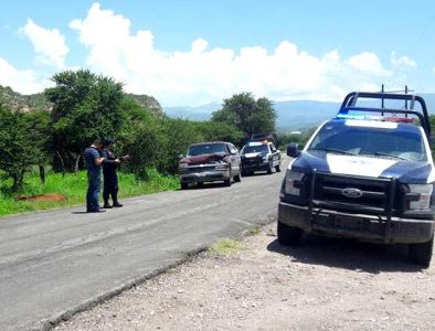 Ganado suelto provoca múltiples accidentes en carreteras de Tepehuanes