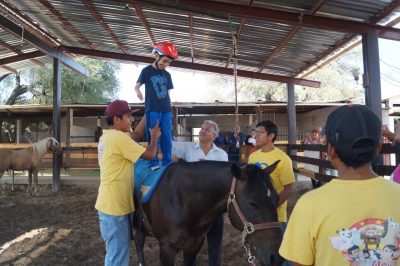 Coadyuva Sedesol con Centro de Equinoterapia en apoyo de 88 familias