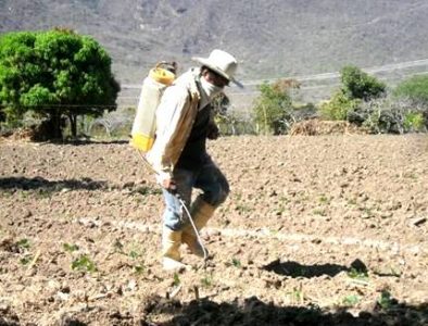 Busca Poanas reducir costos a campesinos en combate a plagas