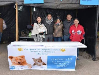 Avanza Feria de la Salud para Mascotas en Poanas