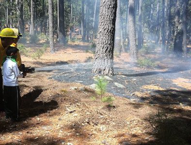 Promueve CONAFOR capacitación del sector forestal