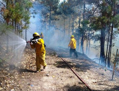 Van 118 incendios forestales; San Dimas y Mezquital, los municipios más afectados