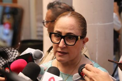 Hay temas importantes que no deberían quedar en el rezago: Marisol Carrillo