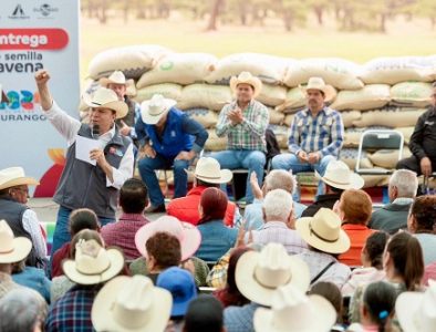 Lleva Esteban semilla de avena para mil 300 productores de Pueblo Nuevo, Durango y San Dimas