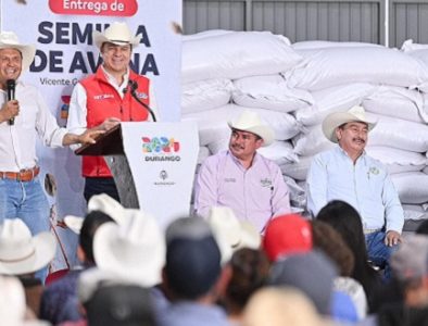 Gracias al Gobierno de Esteban mejoramos la calidad de nuestro ganado, con semilla de avena para forraje: Productores