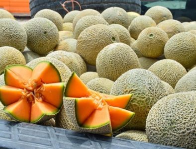 Apoya Gobierno del Estado comercialización del melón, sin intermediarios y a mejor precio