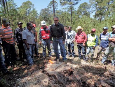 Promueve Conafor seguridad en uso de motosierras en Durango