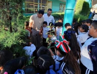 Reforestan primaria 17 de Julio con 140 árboles