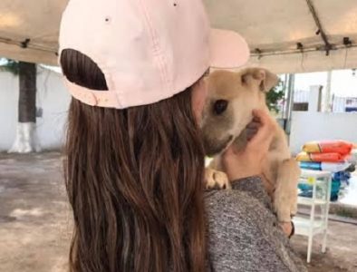 CAAN cierra 2019 con 353 mascotas adoptadas