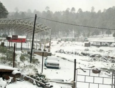 Suman 11 municipios con caída de nieve en Durango