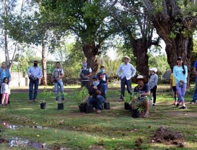 Con 150 árboles, reforestan espacios públicos en La Villita de San Atenógenes