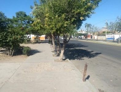 Sin instalarse, 14 tianguis en la ciudad