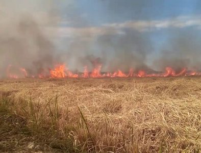 Muere en Topia un agricultor que quemaba la maleza de su parcela