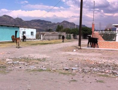 Hallan a un varón sin vida en su casa de Morillitos, Nuevo Ideal