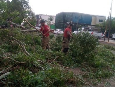 Municipio de Durango mantiene alerta por fuertes vientos