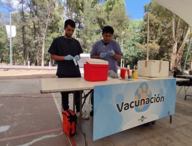 Hospital Municipal Veterinario de Durango ofrece el servicio de vacunación antirrábica